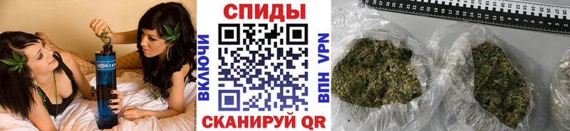 Купить где  Шарья  Бутират BDO 33% 