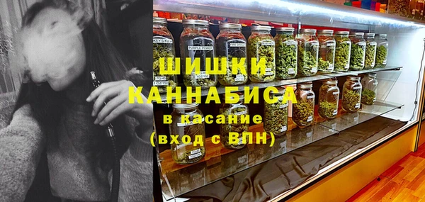 амф Каменка