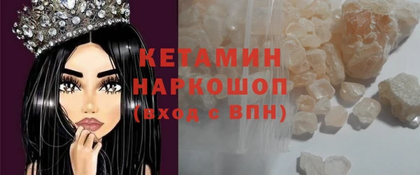 амф Каменка