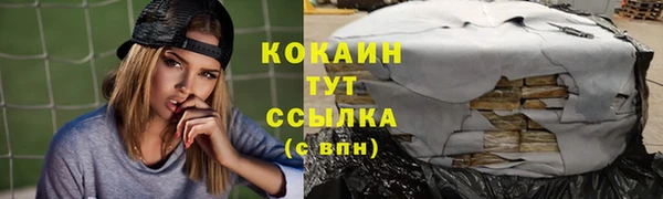 твердый Каменск-Шахтинский