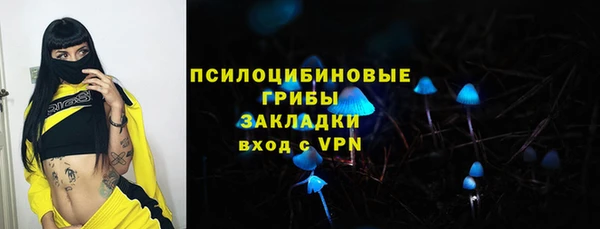 твердый Каменск-Шахтинский