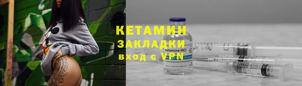 амф Каменка