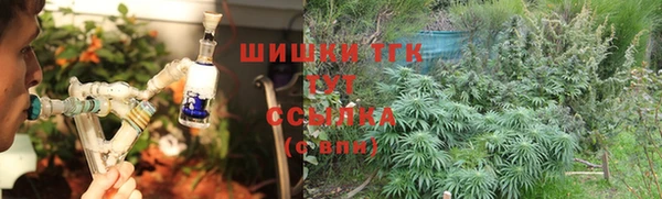 mdpv Каменногорск