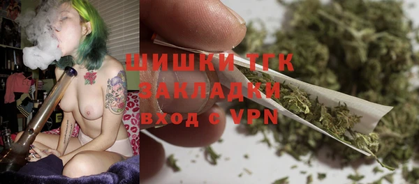 амф Каменка
